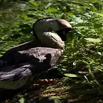 Turisticna Kmetija Weiss * Miklavz pri Taboru