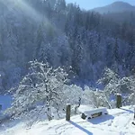 Turisticna Kmetija Weiss Séjour à la ferme *