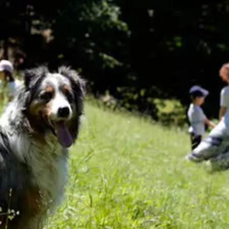 Turisticna Kmetija Weiss Miklavz pri Taboru