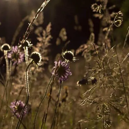 Turisticna Kmetija Weiss 팜스테이