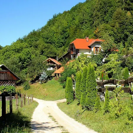 Turisticna Kmetija Weiss Séjour à la ferme Miklavz pri Taboru