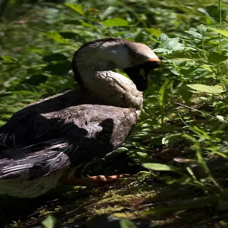 Turisticna Kmetija Weiss * Miklavz pri Taboru