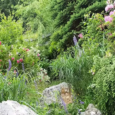 Turisticna Kmetija Weiss 팜스테이