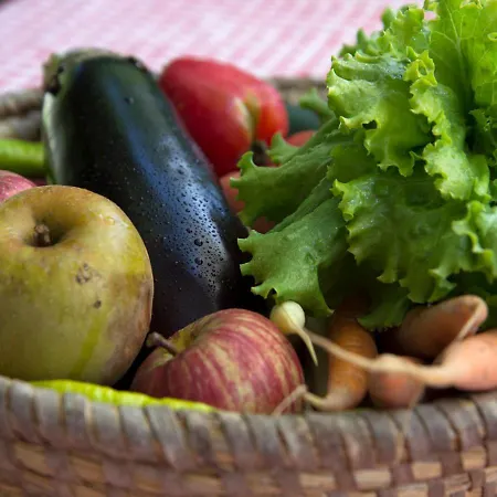 Turisticna Kmetija Weiss 팜스테이 Miklavz pri Taboru