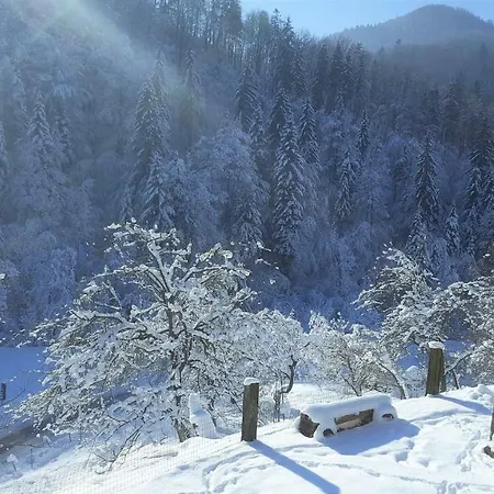 Turisticna Kmetija Weiss 팜스테이 *