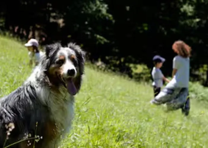 Turisticna Kmetija Weiss Miklavž pri Taboru