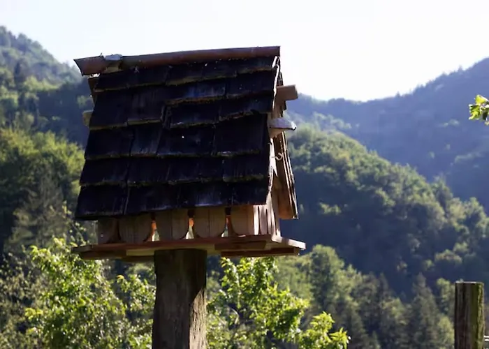 Smještaj na farmi Turisticna Kmetija Weiss Miklavz pri Taboru