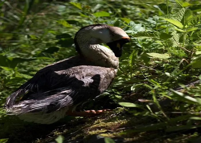Turisticna Kmetija Weiss * Miklavž pri Taboru