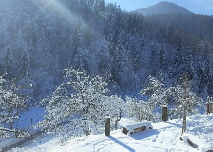 Turisticna Kmetija Weiss Smještaj na farmi *
