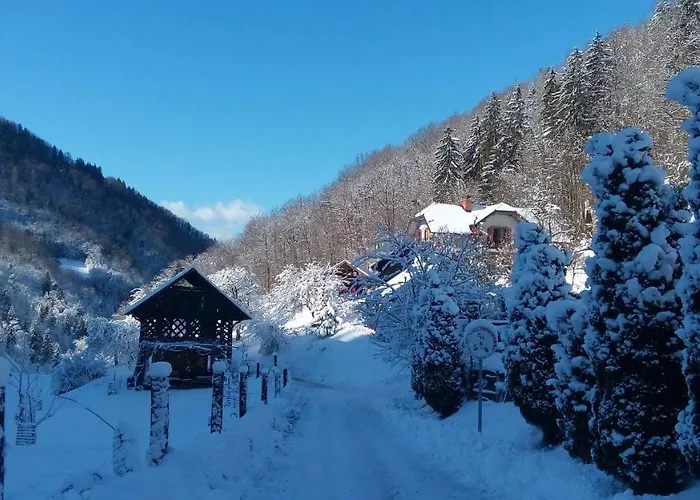 Smještaj na farmi Turisticna Kmetija Weiss